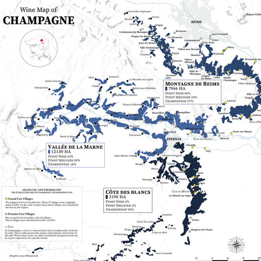 Champagne Wine Map