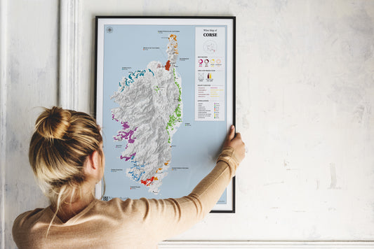 Corsica Wine Map
