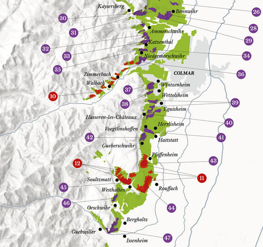 Alsace Wine Map - Real Data