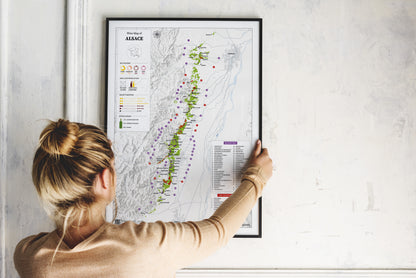 Alsace Wine Map - Real Data