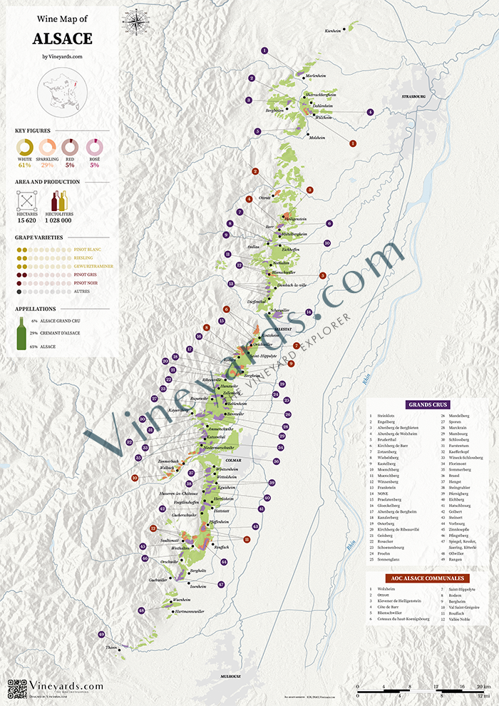 Alsace Wine Map Poster