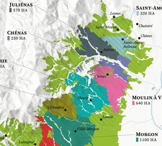 The 10 Crus of Beaujolais – Wine Map