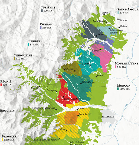The 10 Crus of Beaujolais – Wine Map