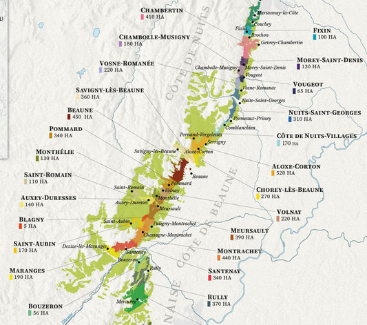 Bourgogne Wine Map (Burgundy)  Real Data based