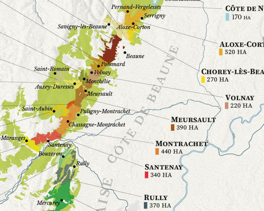 Bourgogne Wine Map (Burgundy)  Real Data based