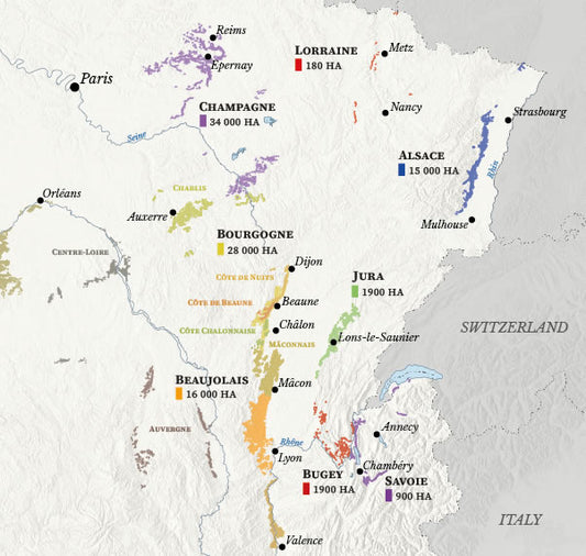 France Wine Map – Real Data