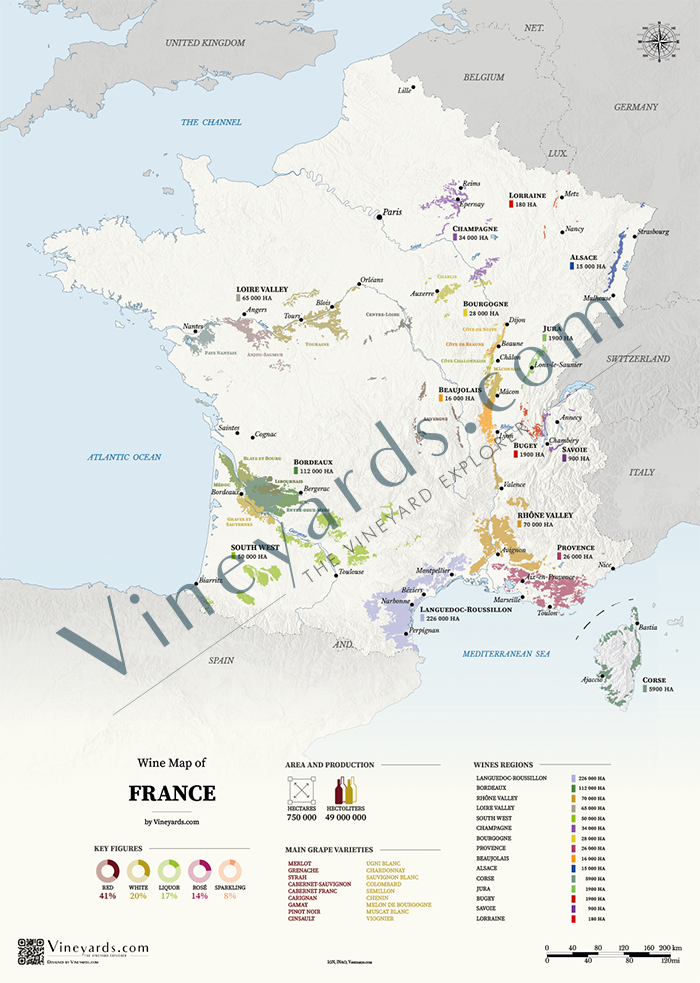 France Wine Map Poster