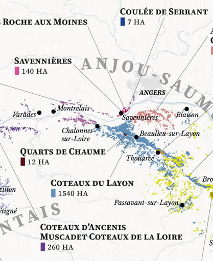 The Loire Valley Wine Map - Real Data