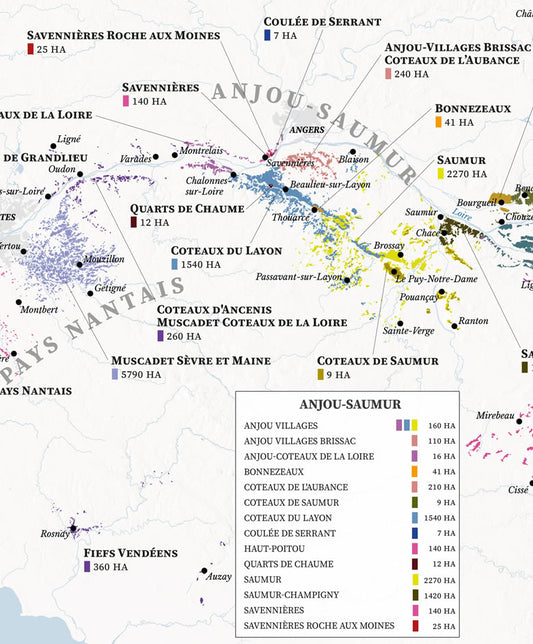 The Loire Valley Wine Map - Real Data