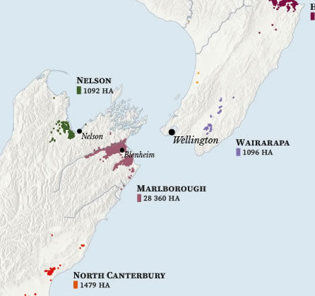 New Zealand Wine Map