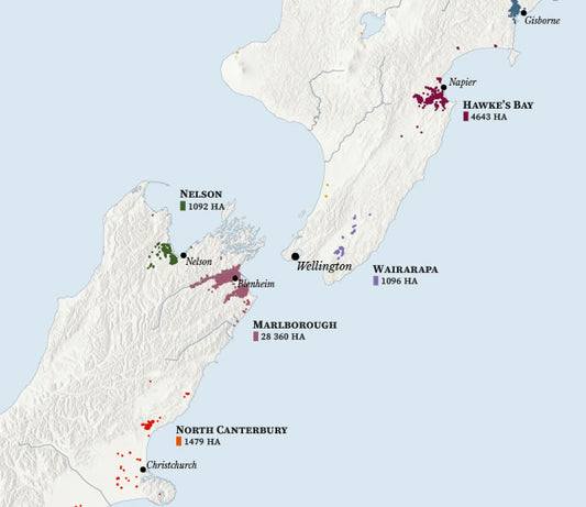 New Zealand Wine Map