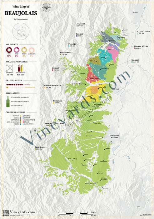 Beaujolais Wine Map Poster