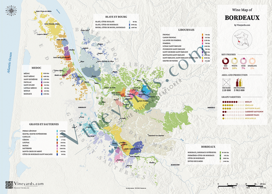 Bordeaux Wine Map for sale
