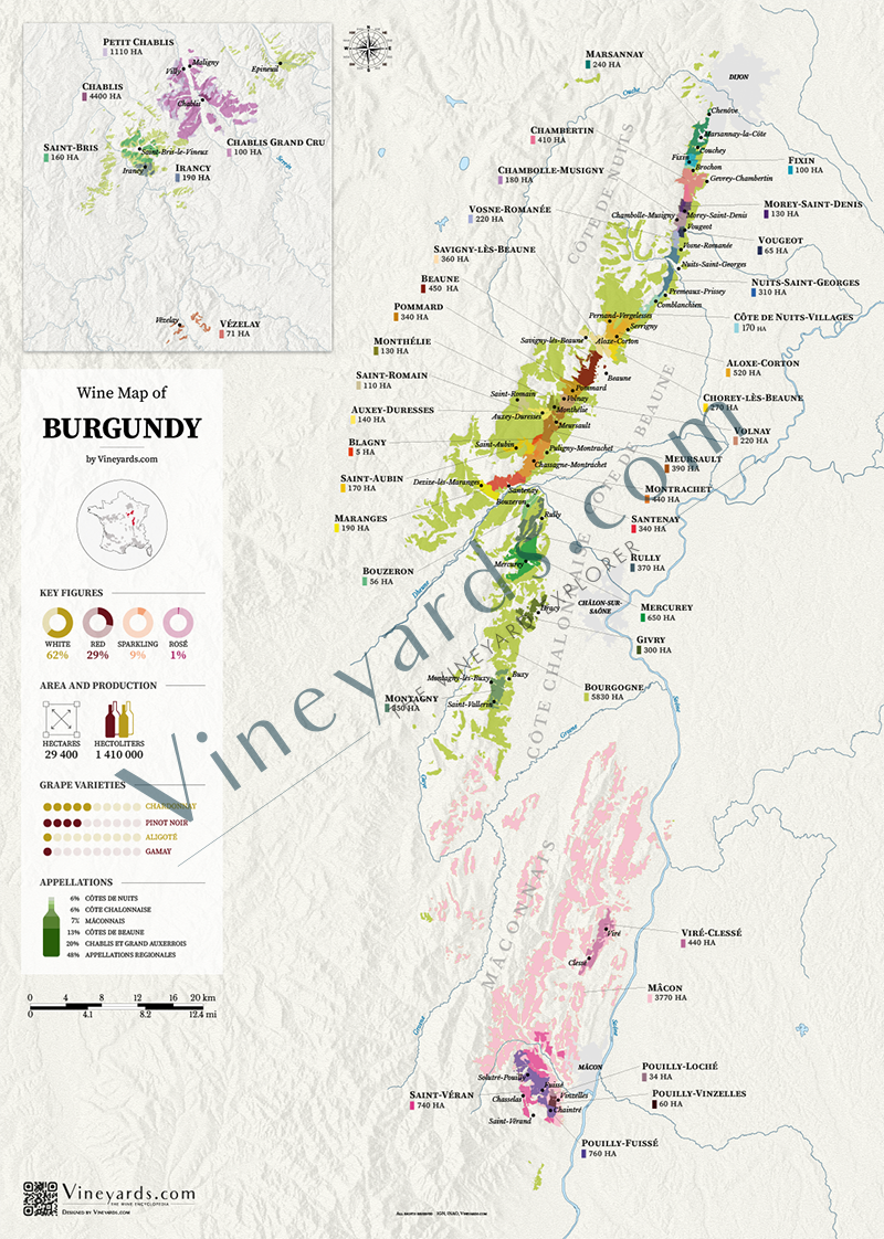 Burgundy wine map poster – Vineyards.com Shop