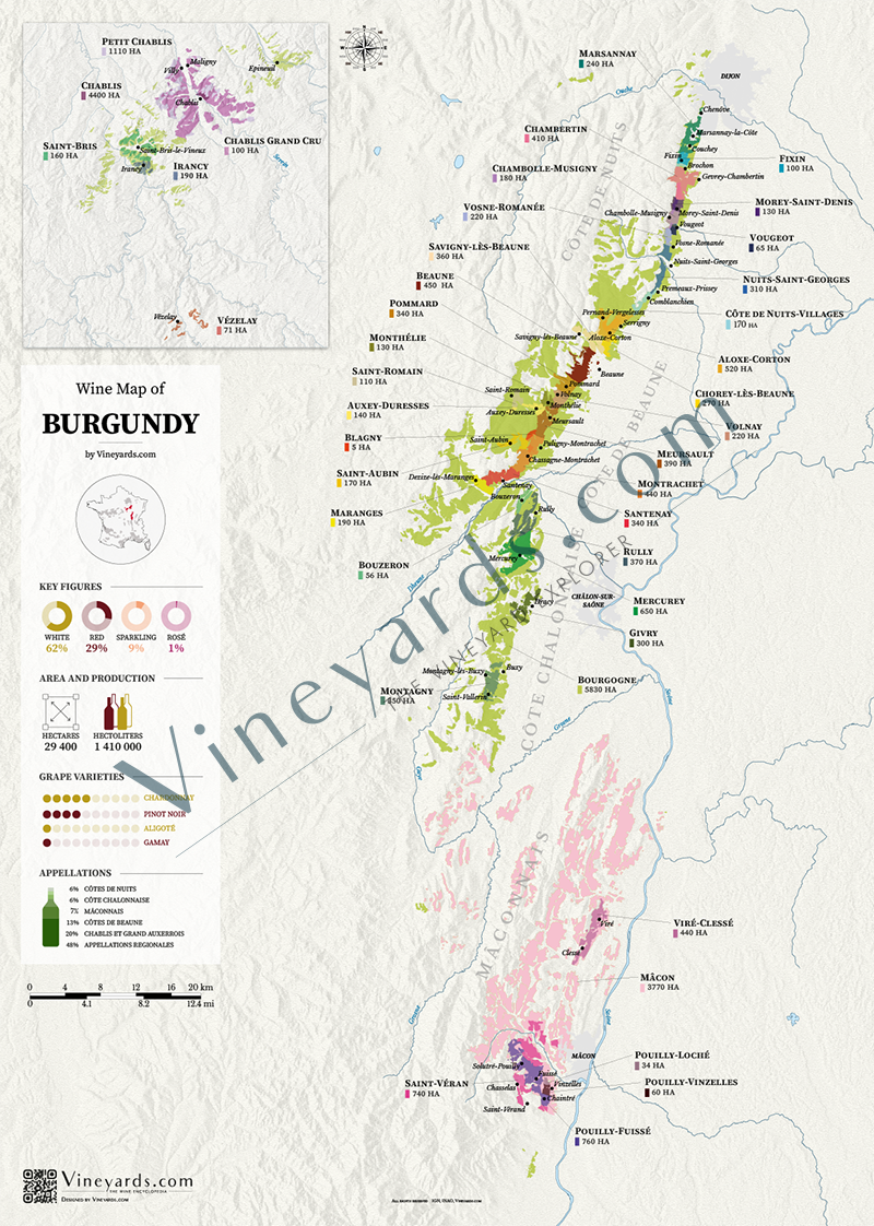 Burgundy Wine Map for sale